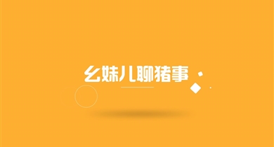 幺妹儿聊猪事第十五期
