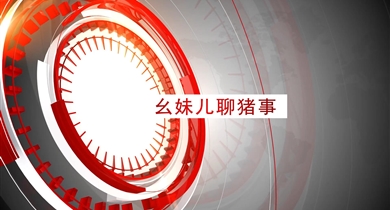 幺妹儿聊猪事第十六期
